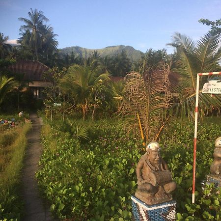 Bali Segara Lestari Oceanfront Villas Tejakula Esterno foto