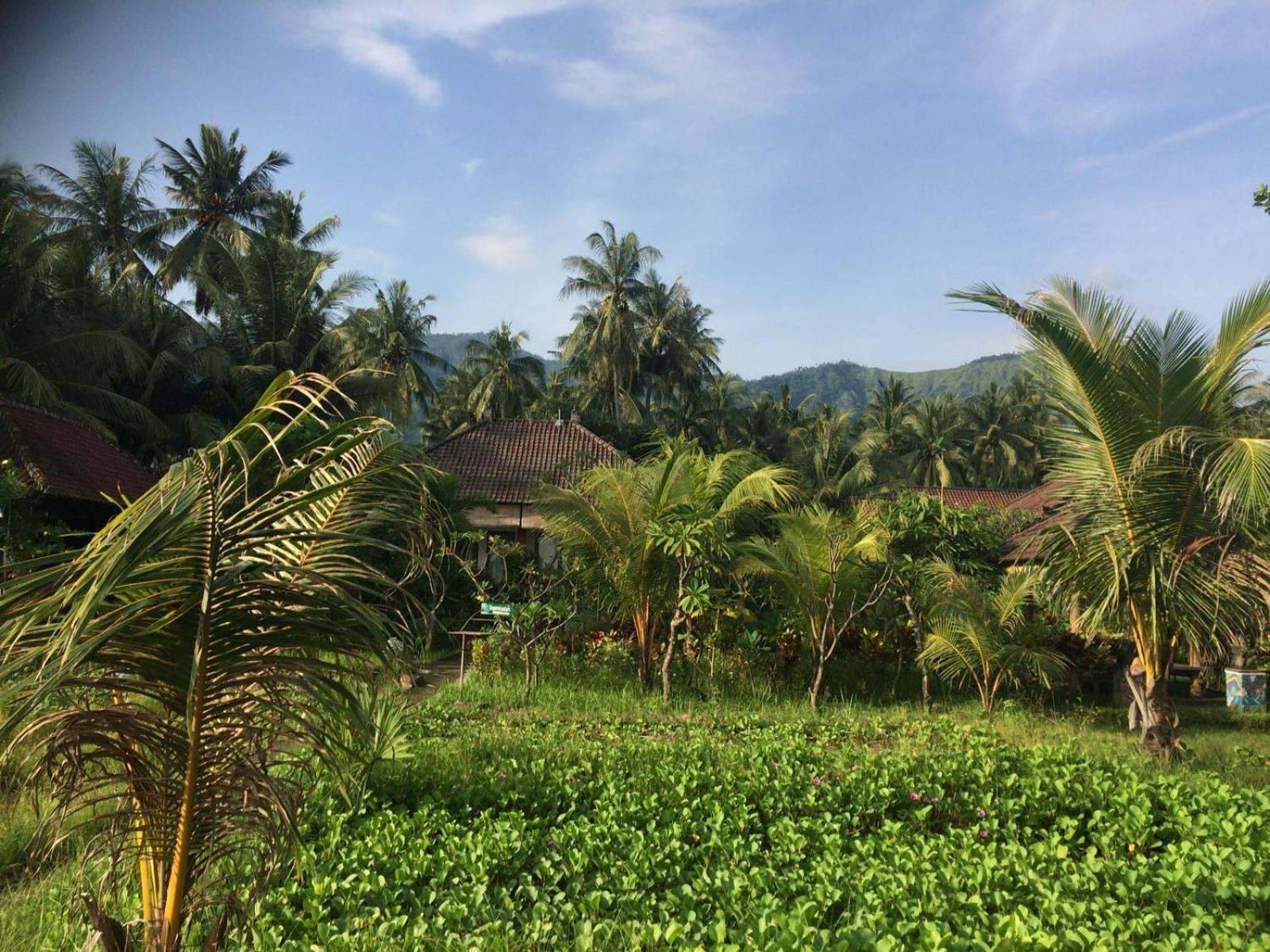 Bali Segara Lestari Oceanfront Villas Tejakula Esterno foto