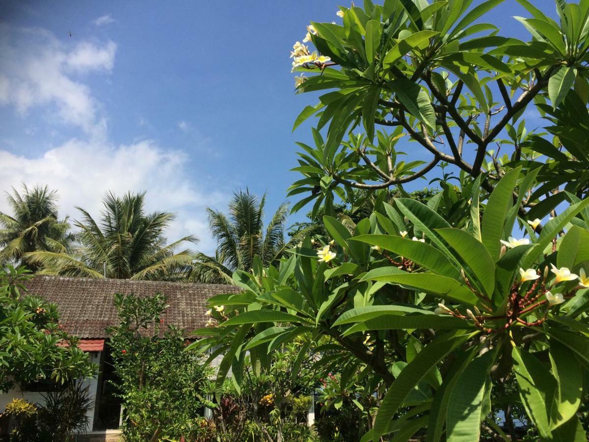 Bali Segara Lestari Oceanfront Villas Tejakula Esterno foto