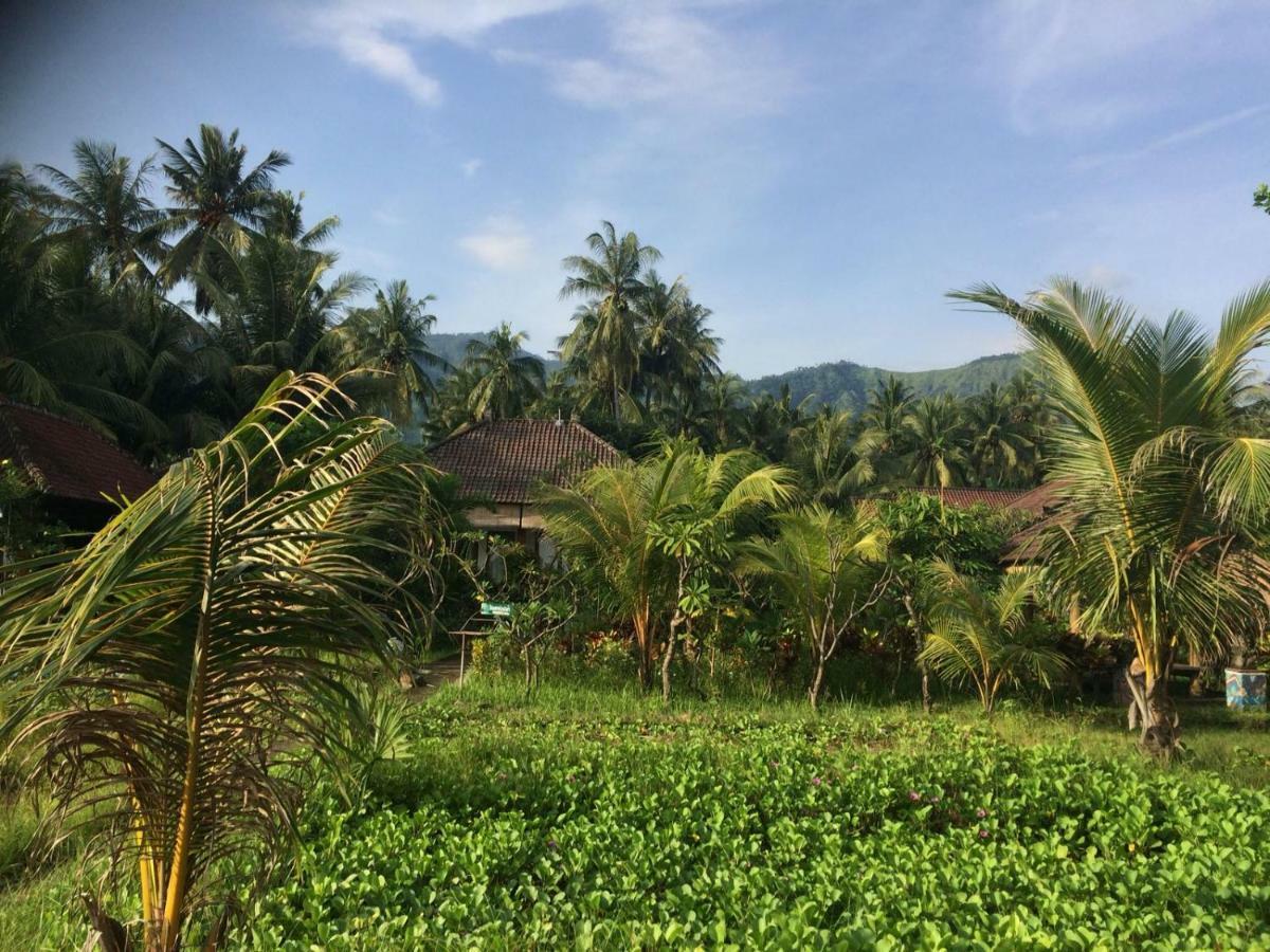 Bali Segara Lestari Oceanfront Villas Tejakula Esterno foto